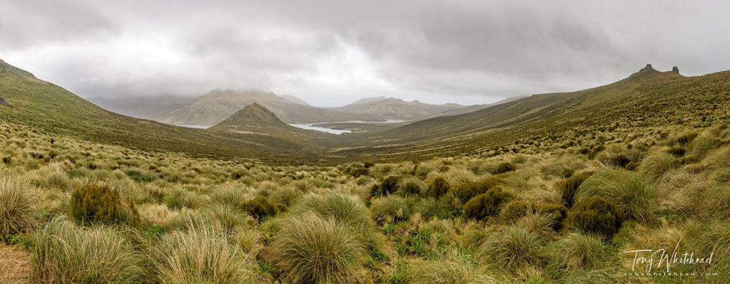 Photo made by stiching 6 images into a panorma of Campbell Island