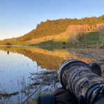 Three Steps to Nice Light at Lake Okareka