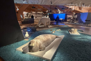 Svalbard Museum